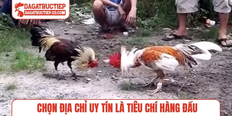 Chọn địa chỉ uy tín là tiêu chí hàng đầu