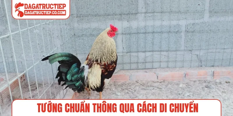 Tướng chuẩn thông qua cách di chuyển