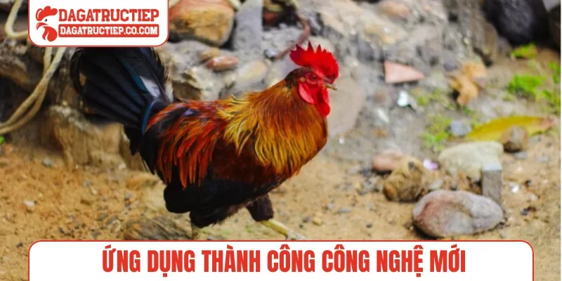 Ứng dụng thành công công nghệ mới